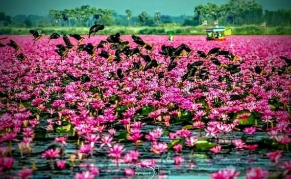 รถเช่าอุดรธานี สะพานบุญอุดรคาร์เร้นท์ รถตู้อุดร 17 2