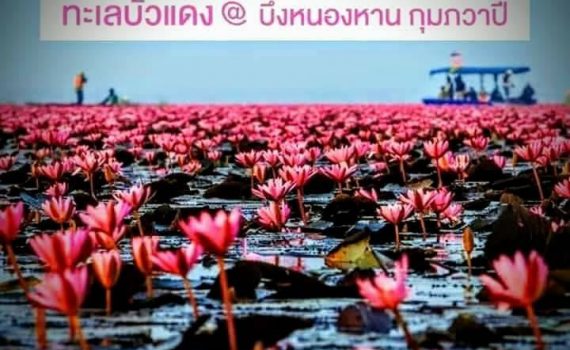 รถเช่าอุดรธานี สะพานบุญอุดรคาร์เร้นท์ รถตู้อุดร 19 2