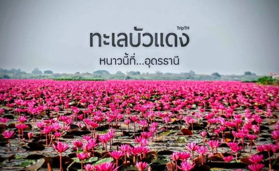 รถเช่าอุดรธานี สะพานบุญอุดรคาร์เร้นท์ รถตู้อุดร 23 2