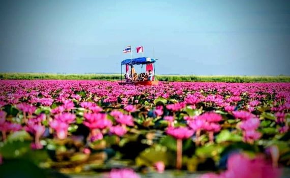 รถเช่าอุดรธานี สะพานบุญอุดรคาร์เร้นท์ รถตู้อุดร 28 2