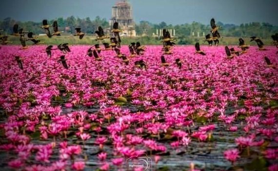 รถเช่าอุดรธานี สะพานบุญอุดรคาร์เร้นท์ รถตู้อุดร 5 2