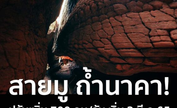 รถเช่าอุดรธานี สะพานบุญอุดรคาร์เร้นท์ FB IMG 1646360785026 a72c8c8c